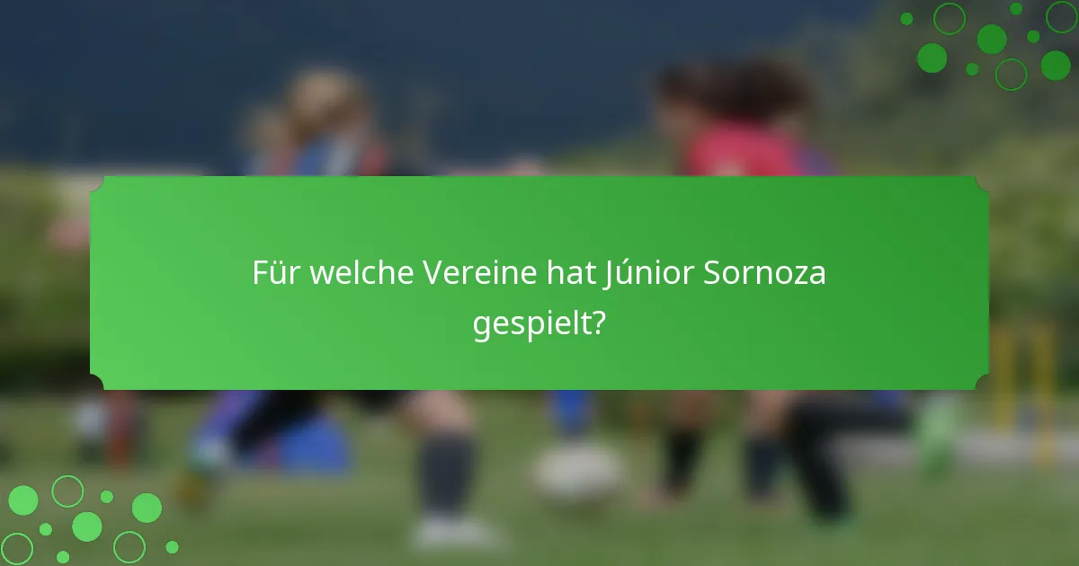 Für welche Vereine hat Júnior Sornoza gespielt?