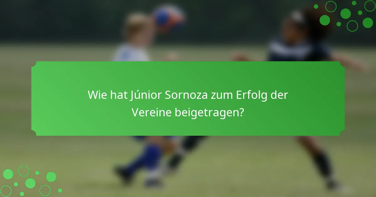 Wie hat Júnior Sornoza zum Erfolg der Vereine beigetragen?